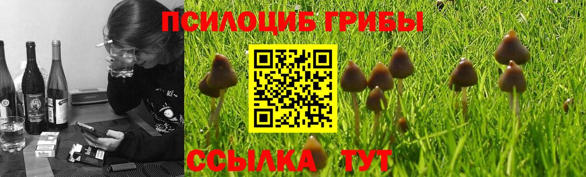 Галлюциногенные грибы ЛСД  Вход с VPN  Карпинск  Псилоцибиновые грибы ЛСД 