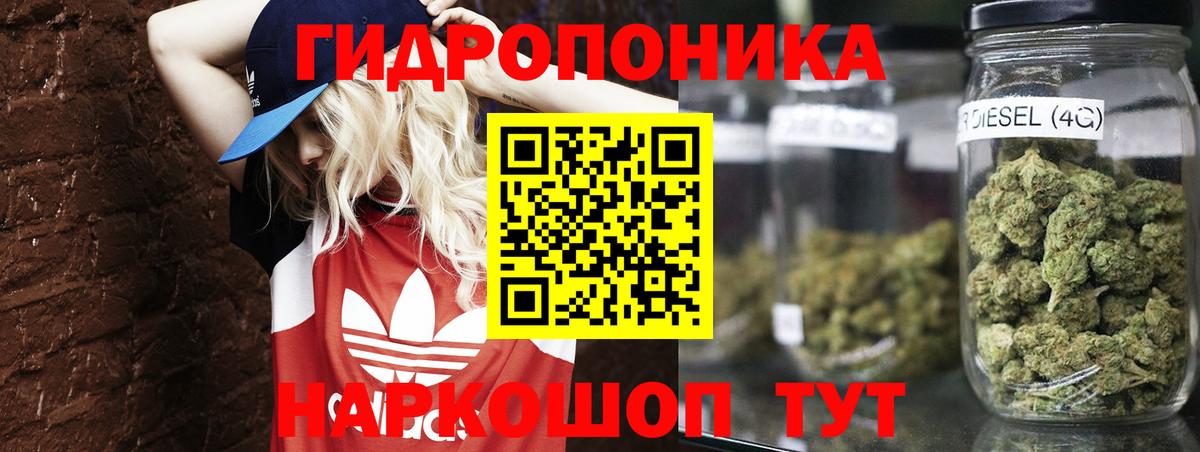 Марихуана план Карпинск